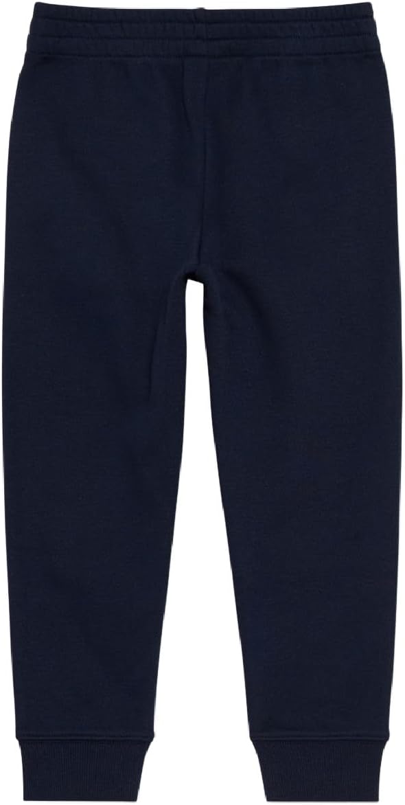 Champion Boys Jogger Set Fleece Hoodie and Sweatpants Tracksuit