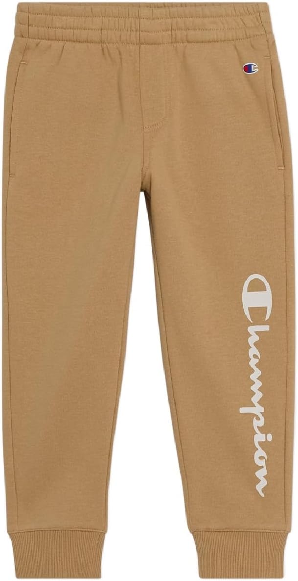 Champion Boys Jogger Set Fleece Hoodie and Sweatpants Tracksuit