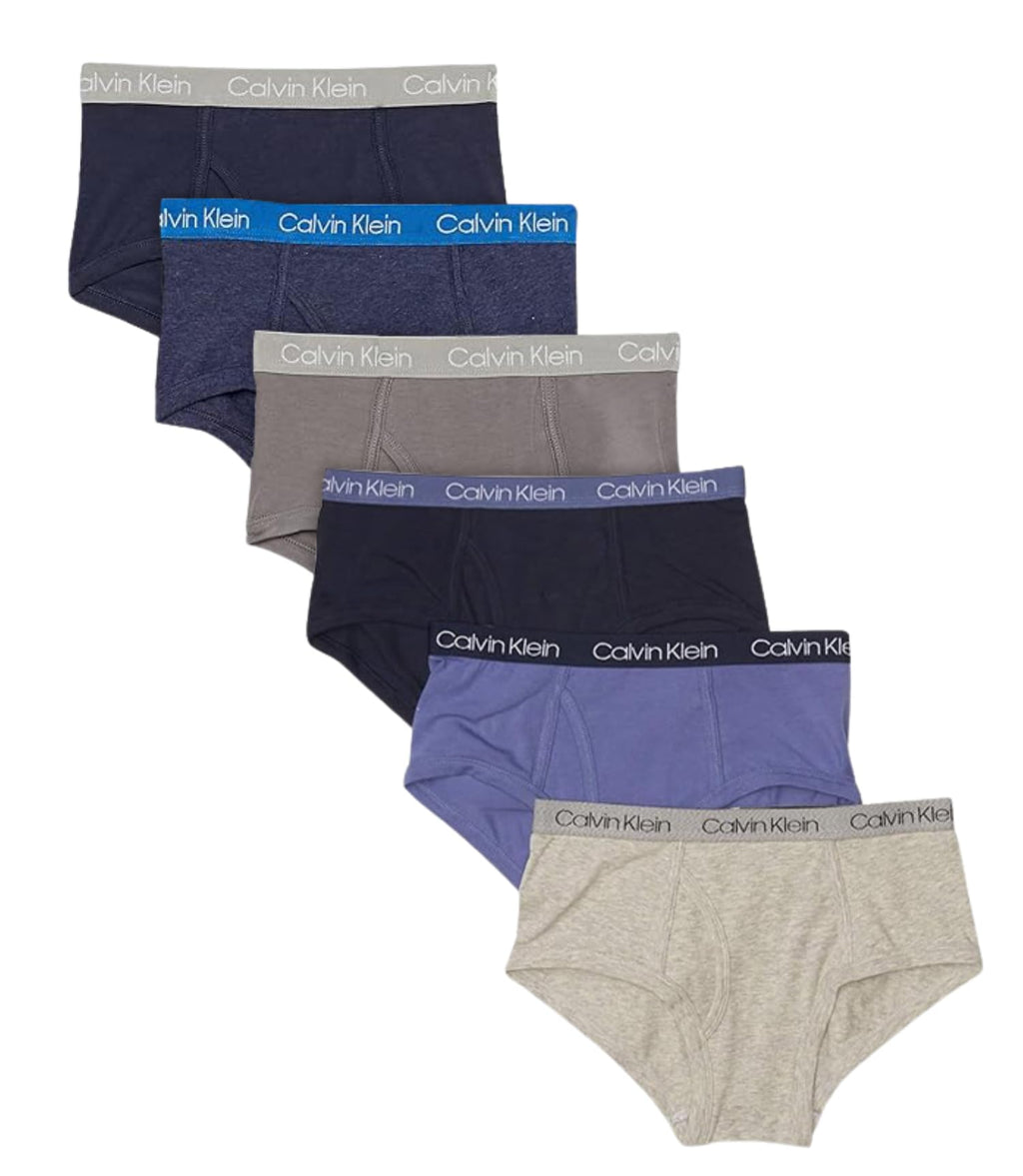 Calvin Klein Kids Boys' Modern Cotton Brief Underwear 6-Pack