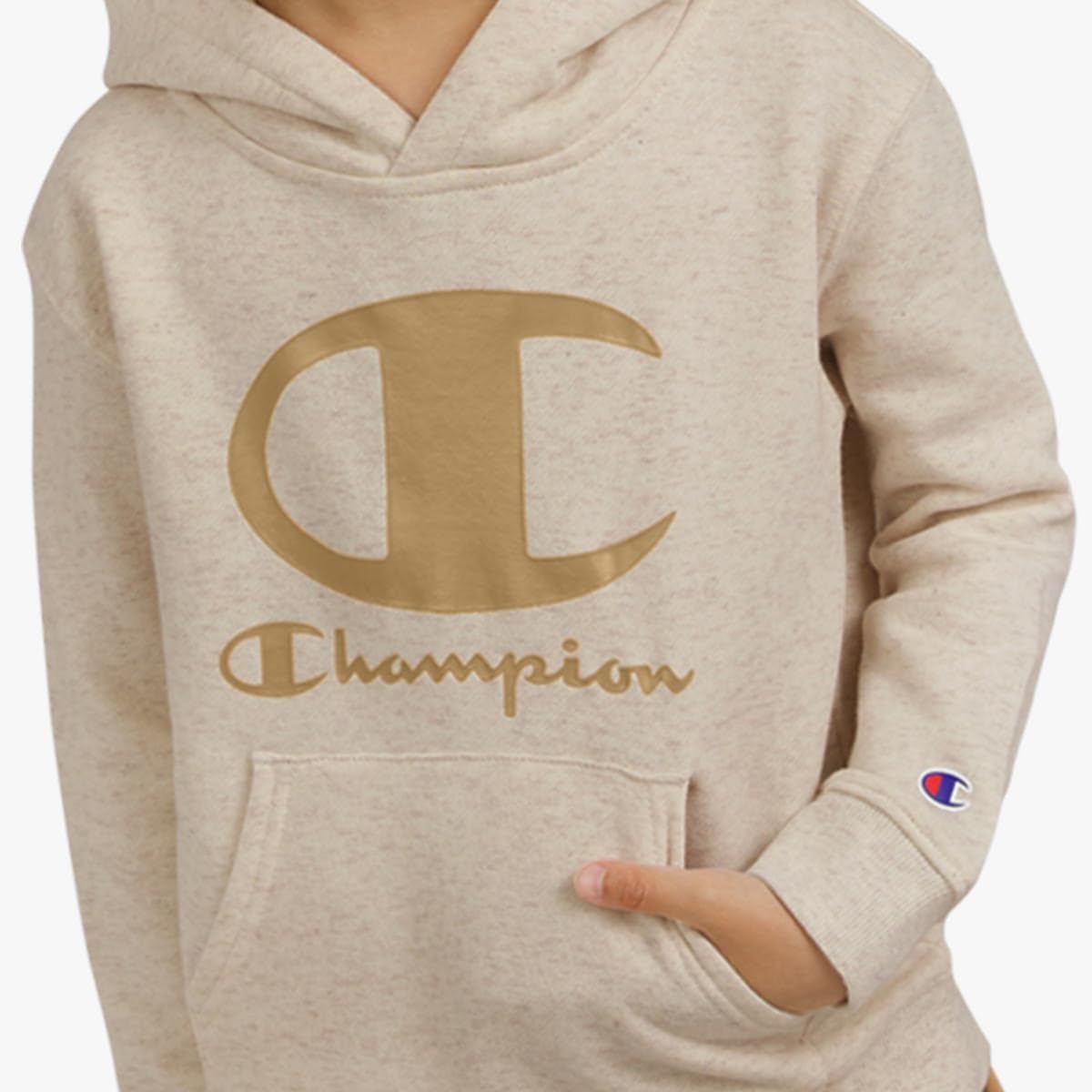 Champion Boys Jogger Set Fleece Hoodie and Sweatpants Tracksuit