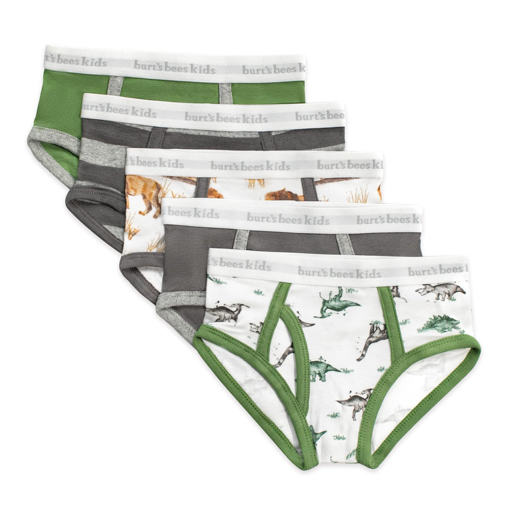 Burt's Bees Baby Boys' Organic Cotton Brief Underwear, 5-Pack