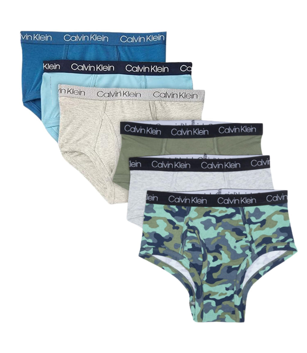 Calvin Klein Kids Boys' Modern Cotton Brief Underwear 6-Pack