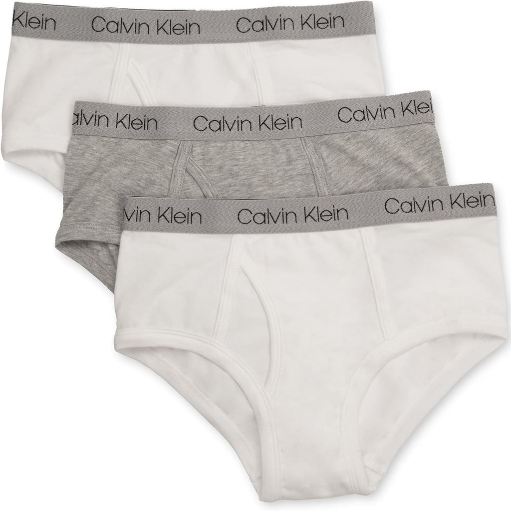 Calvin Klein Kids Boys' Modern Cotton Brief Underwear 3-Pack