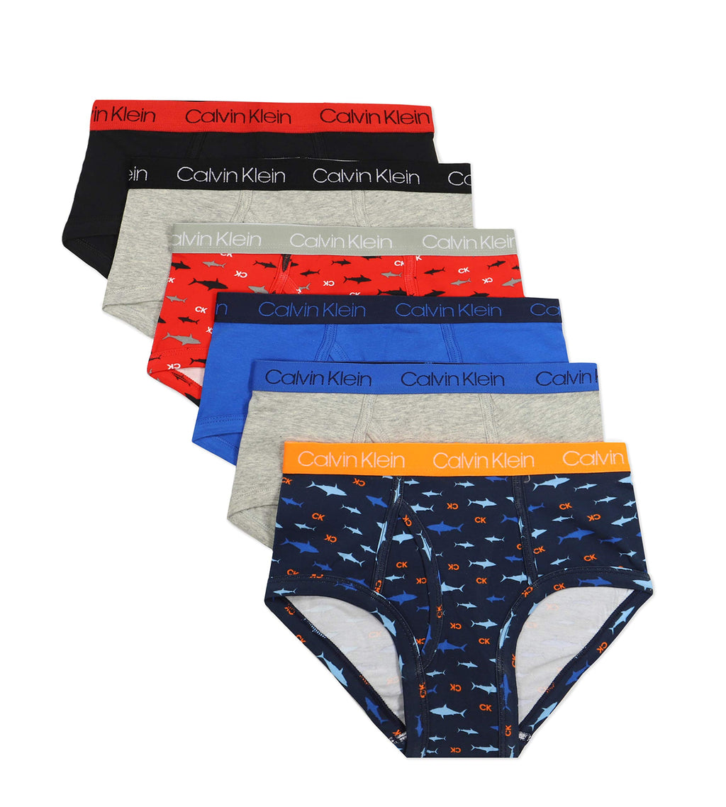Calvin Klein Kids Boys' Modern Cotton Brief Underwear 6-Pack