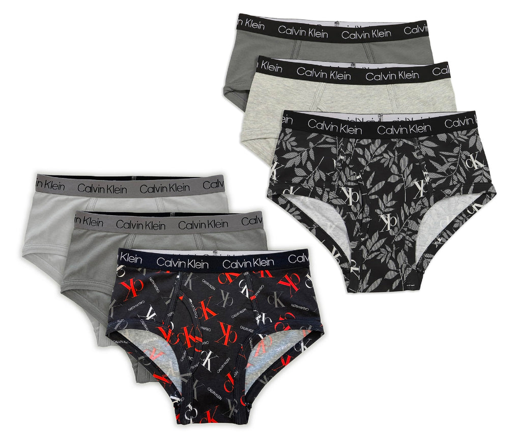 Calvin Klein Kids Boys' Modern Cotton Brief Underwear 6-Pack