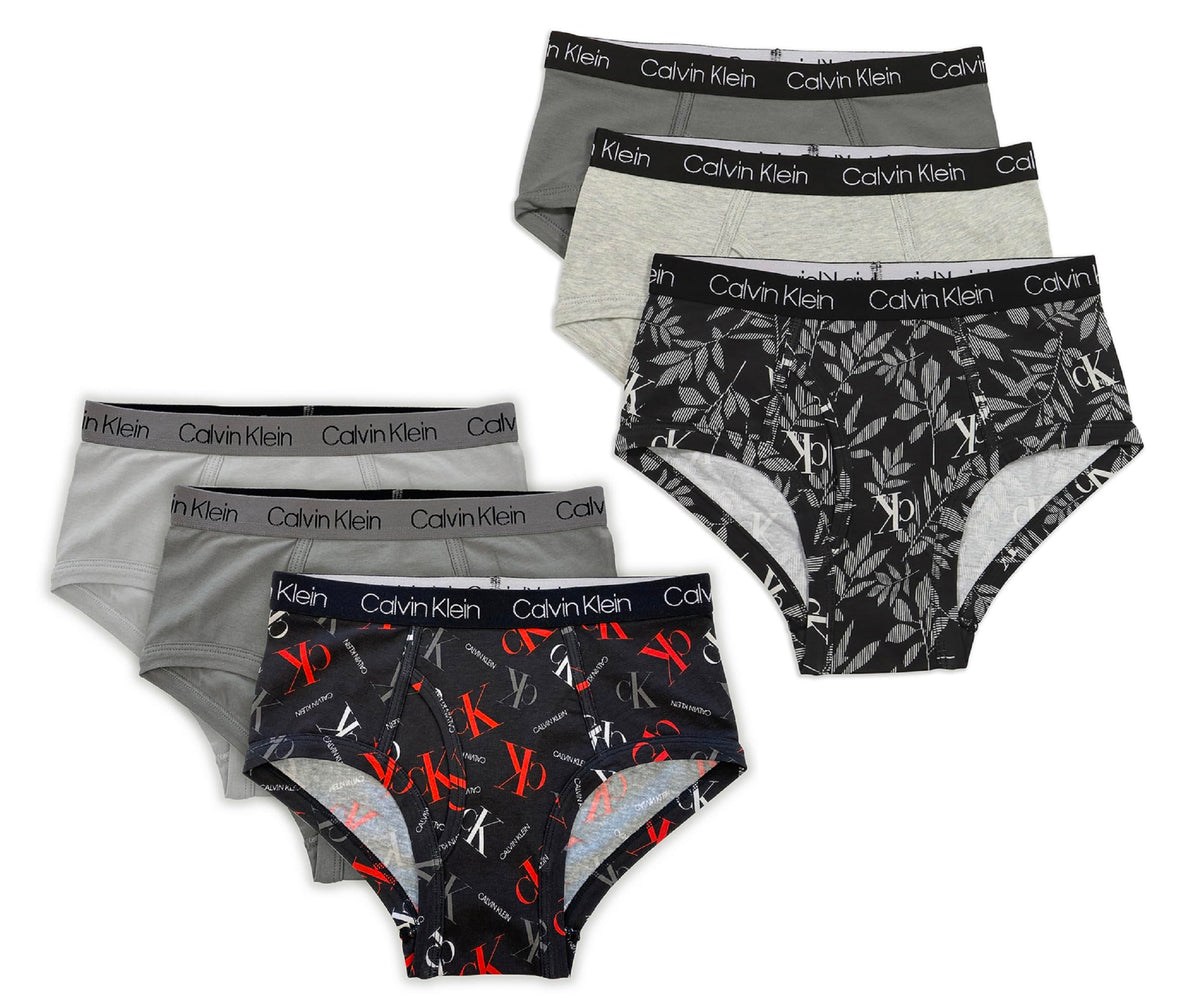 Calvin Klein Kids Boys' Modern Cotton Brief Underwear 6-Pack