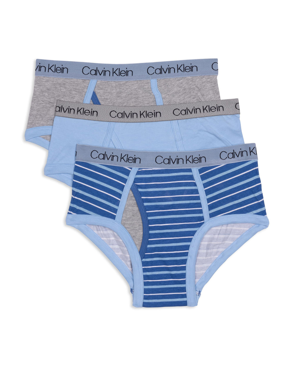 Calvin Klein Kids Boys' Modern Cotton Brief Underwear 3-Pack