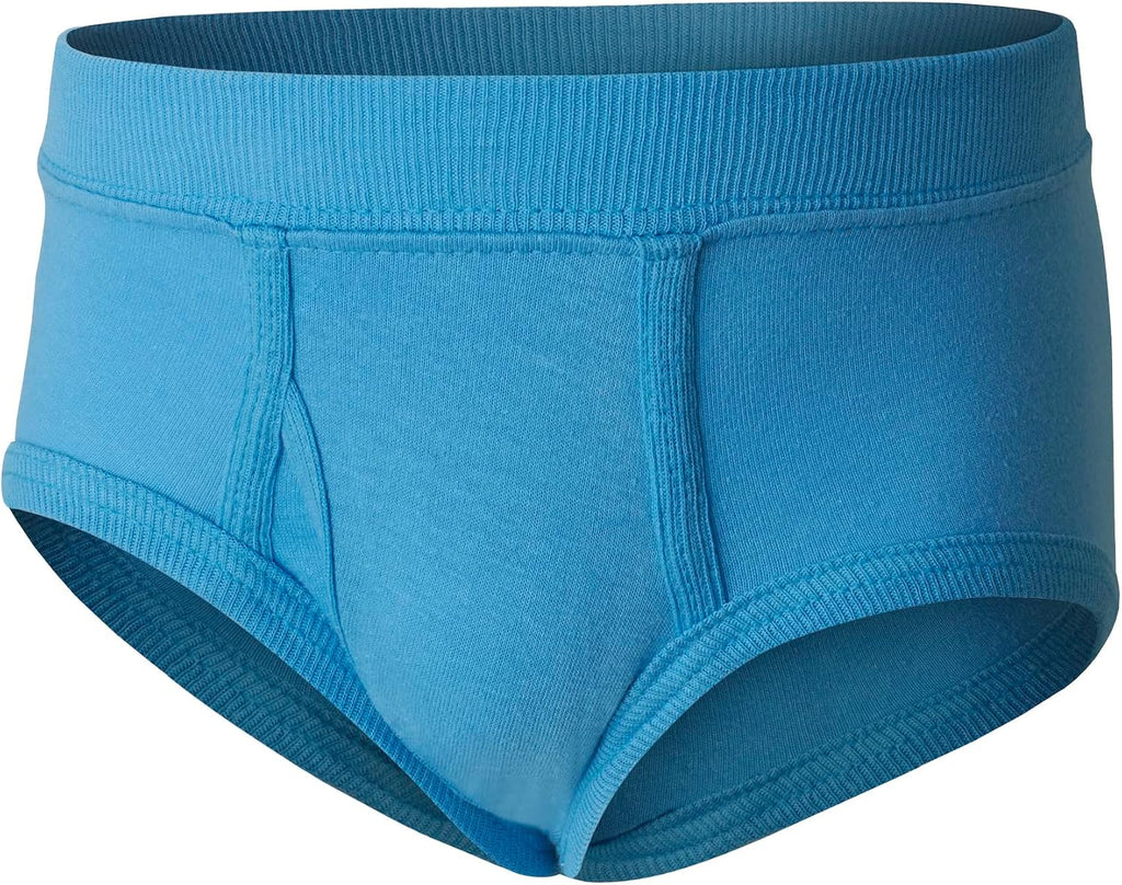 Hanes Toddler Boys' Organic Cotton Underwear, Pure Comfort 100% Cotton Boxer Briefs Available, 10 & 7 Pack