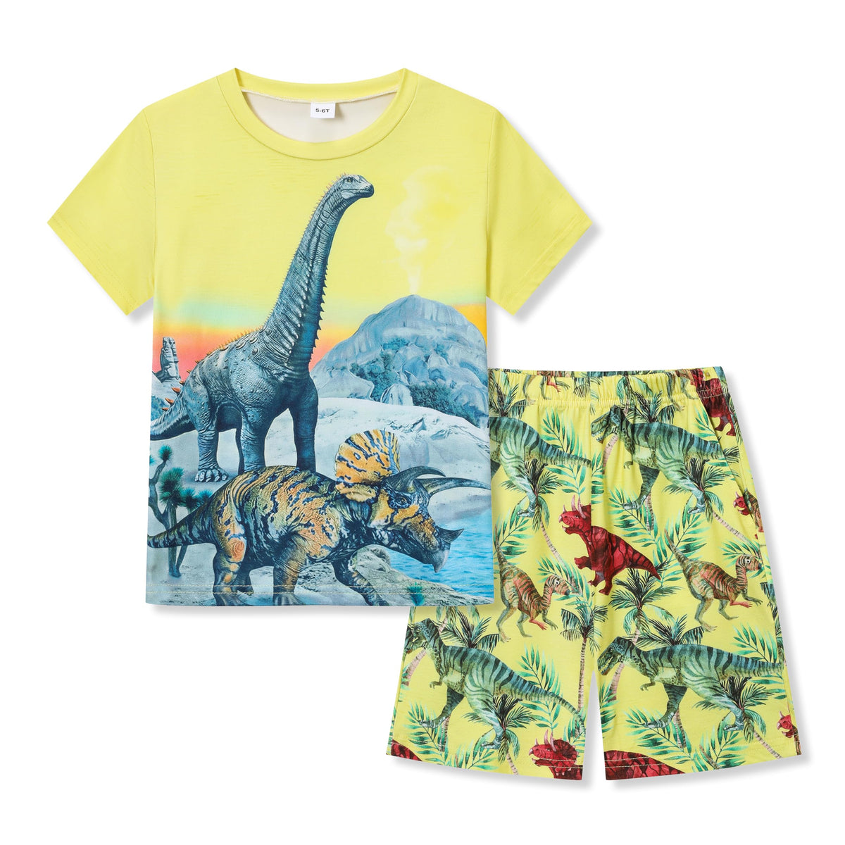 Ayzozuy Boy Clothes Colorblock Top + Drawstring Waist Shorts 2 Pieces Kid Summer Outfits Set